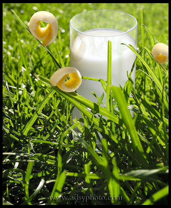 Adsy Bernart photographer food photography, butter milk