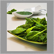 Adsy Bernart  photographer food photography spinach