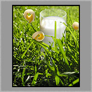 Adsy Bernart  photographer food photography, butter milk