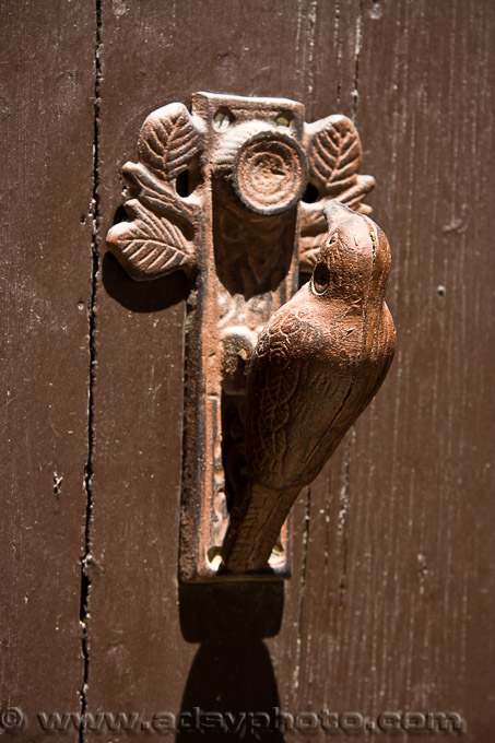 Adsy Bernart photographer travel photography France arles bird doorknocker