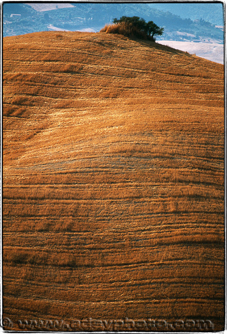 Adsy Bernart photographer travel photography Italy Tuscany Toscana hill landscap